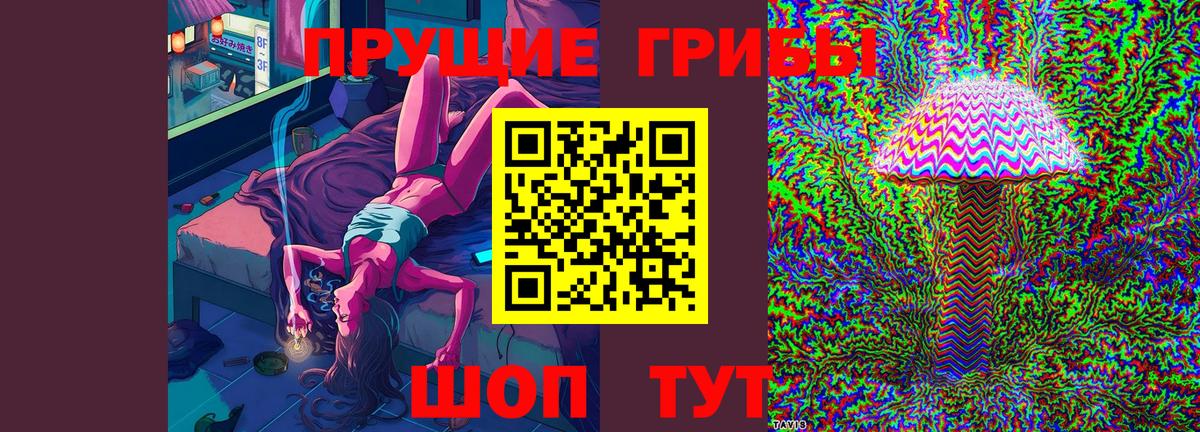 Галлюциногенные грибы GOLDEN TEACHER Майский