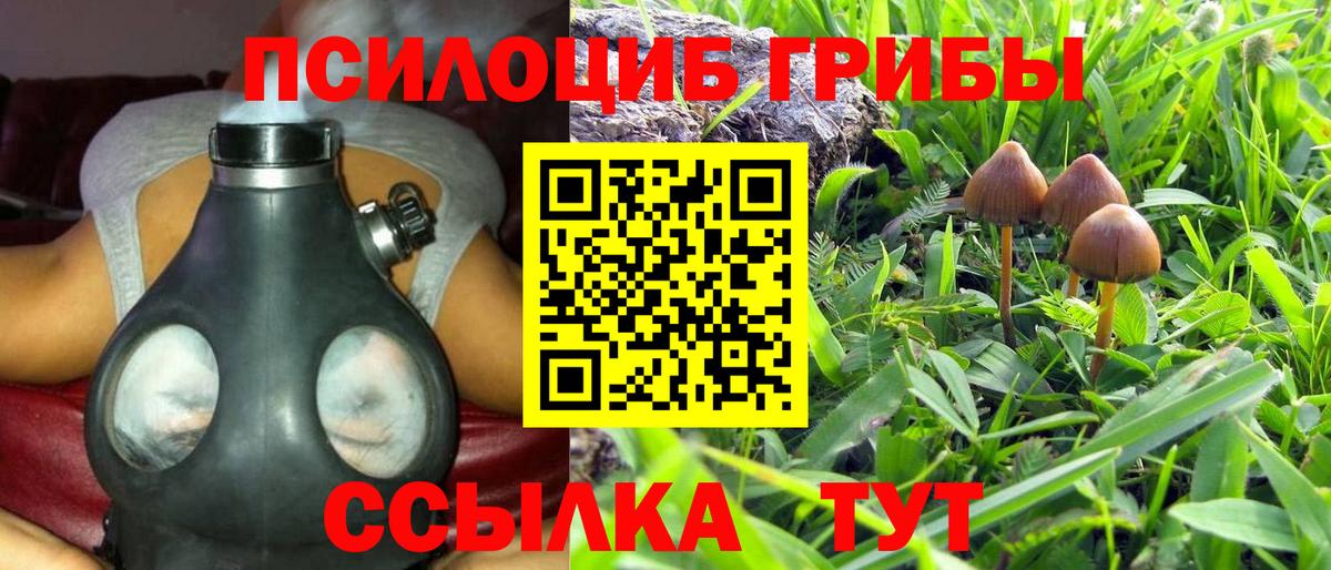 Галлюциногенные грибы MAGIC MUSHROOMS  Галлюциногенные грибы MAGIC MUSHROOMS  Майский  Вход с VPN 